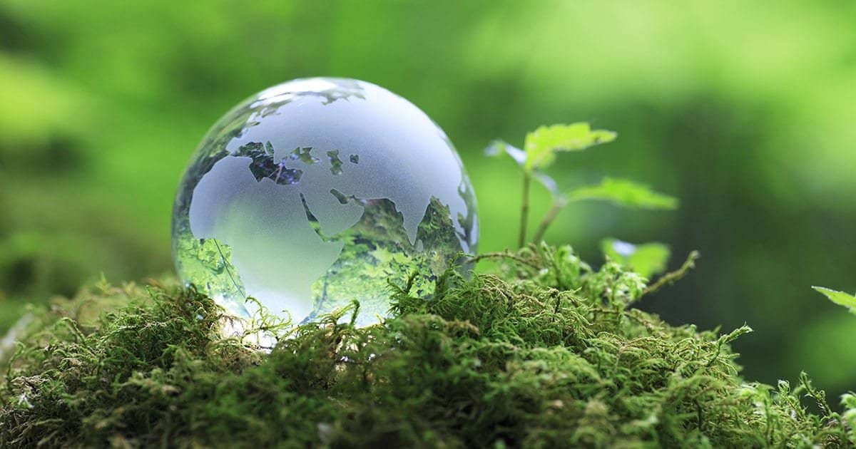 eco globe