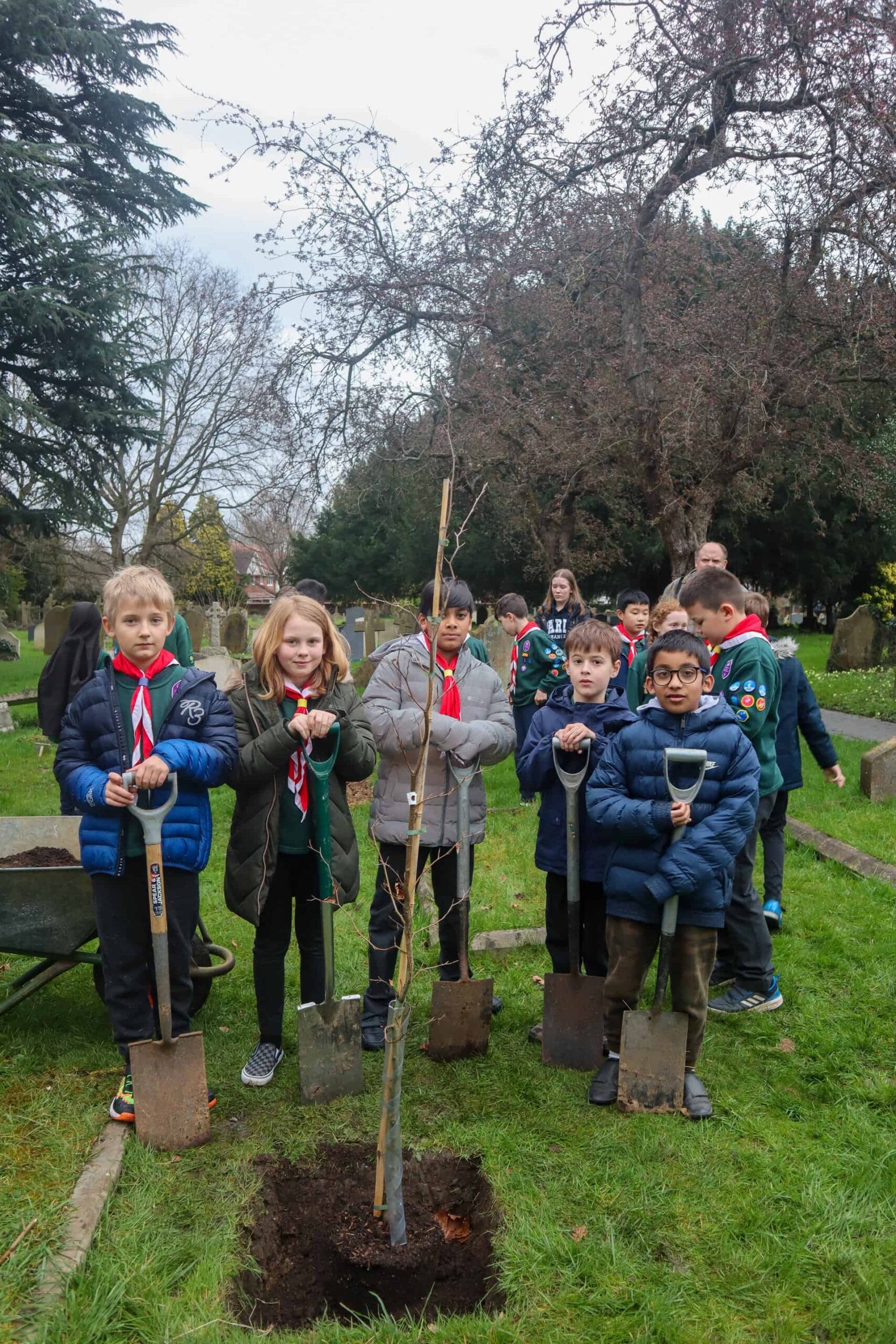 Cub tree planting img 0011