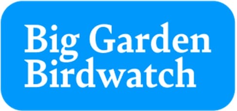 Big garden birdwatch